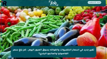 تغير جديد في أسعار الخضروات والفواكه بسوق العبور اليوم.. كم بلغ سعر الفاصوليا والمانجو البلدي؟